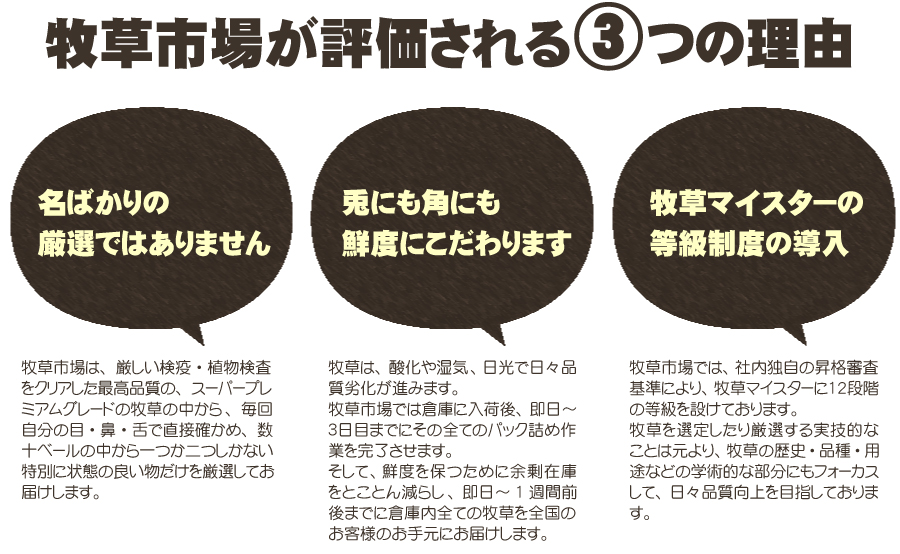 令和5年度産新刈り】牧草市場 スーパープレミアムチモシー1番刈り牧草