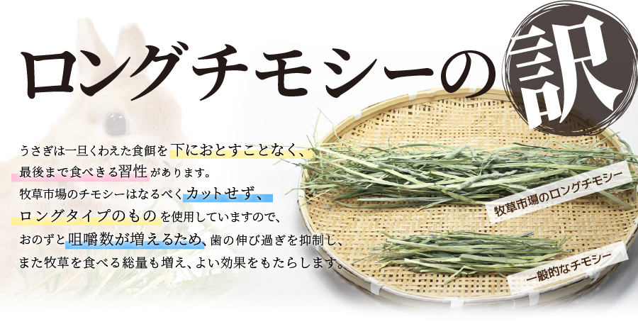 令和4年度産新刈り】牧草市場 スーパープレミアムチモシー1番刈り牧草 1kg(500g×2パック) | 牧草市場,スーパープレミアムチモシー 1番刈り  | うさぎ用品市場｜うさぎに必要なものがすべてそろう店